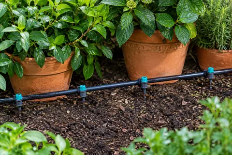 Lot de goutteurs d’extrémité anthracite et turquoise près d’une conduite noire au pied de plantes en pot