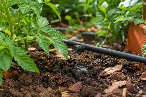 Goutteur d’extrémité noir installé sur une conduite fine au pied de plantes dans un jardin