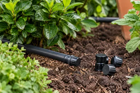 Bouchon noir en plastique posé au bout d’un tuyau d’irrigation dans un jardin