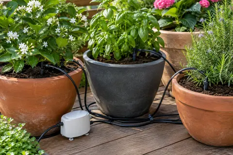 Pompe blanche Rainpoint reliée à des tuyaux et goutteurs près de plantes en pot dans un jardin